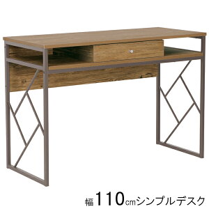 p\RfXN wK ׋ ֊ otfXN 110cm Vv X`[ gJD-110 BR ֓ni 1ח\