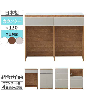 �L�b�`���J�E���^�[ �J�E���^�[ ���{�� ��120 ���[ �����W�� ����I�����R �I�ׂ�L�b�`�����[ �J���ݒu ���ݔ����[�� �S�~�� �I�[�v���^�C�v ���o�� �y�J�t�F120�z 3�F