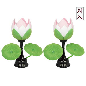 !?y|Cg&N[|z ~ 傤 @ؓ Ou@ No.1 ԁv  2Zbg Γ dCR[h 8852-81-001