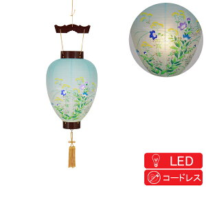 �~�� ���傤���� ��^�񓔁u���C���G���v �d�r�� LED 8109-00-201AC