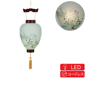 �労�Ӂy�|�C���g����&�����N�[�|���z �~�� ���傤���� ��^�񓔁u���C���G���v �d�r�� LED 8109-00-202AC