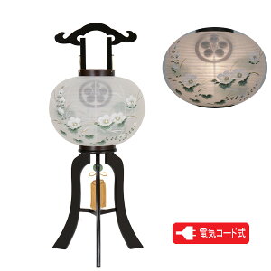 !?y|Cg&N[|z ~ ~傤 s11 uʉ_̗ dGvdCR[h 8441-11-495