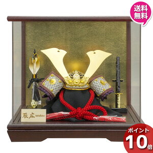 y|Cg10{z ܌l` ܌ ANP[X RpNg  ߋߋl` CL  1/5 ԗ 5720-56-009