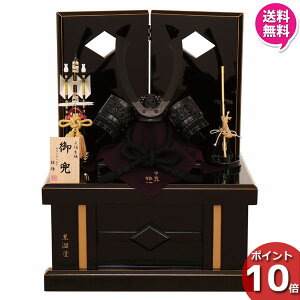 y|Cg10{z ܌l` RpNg ܌ 菉ߋ [߂̐ߋ ߋl` 8[ 6L22-AA-759  ubN