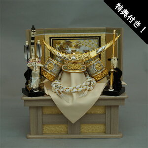 !?y|Cgő47{&N[|z [ Zbg  ܌l`܌ [߂̐ߋ ɒB@ Zbg10 [  |t  F1004 