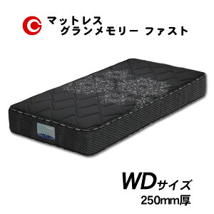 !?y|Cg&N[|z Oc }bgX uO[ t@Xgv WD Ch_u Y h_j R hL 25cm 󒍐Y ֓n