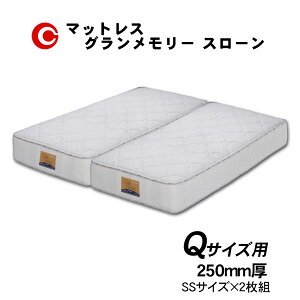 Oc }bgX uO[ X[v Q NC[TCYp (SS×2) Y h_j R hL 25cm 󒍐Y ֓n