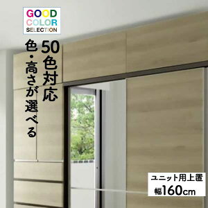 stea専用上置き 棚 収納 幅160cm用上置き 受注生産 開梱設置 プッシュフラップ扉 カラーセレクション対応 高さオーダー 28から40cm 汚れに強い EBコーティング