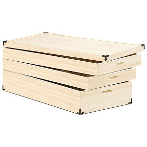  [ P[X { ˃^X a_X a^X a\y ˈߏփP[XEdグ ߑP[X3i M[TCY91cm uKR-9v 