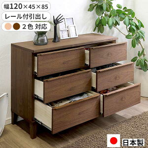 [`FXg m[ ^X  120 o { ֓n3io 120-3LC I F Rh EH[ibg bhI[N