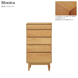 `FXg nC`FXg Rhdグ 60cm 5io ֓n 60-5 jJ