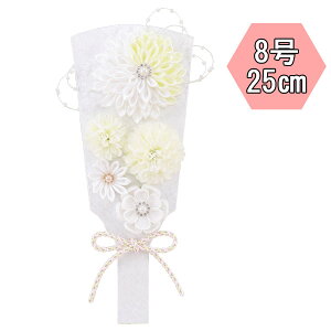 y|Cg10{z Hq Hq  ߋj HqPi Hq݂̂܂ݍ׍HHq ͂8 1005-08-200 