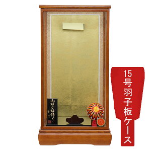 y|Cg10{z Hq ȂP[XPi  ߋj ȂP[X ؉ 15 1116-15-040 