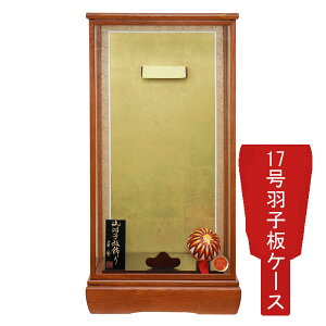 y|Cg10{z Hq ȂP[XPi  ߋj ȂP[X ؉ 17 1116-17-040 