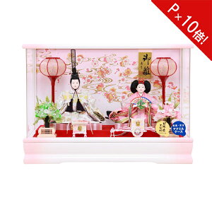 y|Cg10{z l` P[X ЂȐl` e Ԍ48cml  ߋ ߋl` 3300-86-054CdCR[hᓴ ANP[X 