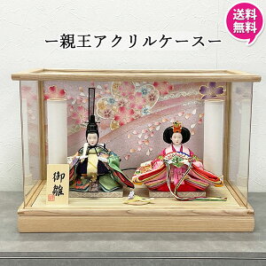 y|Cg10{z l` RpNg P[X  2l _  ~j 킢  ̐ߋ ̎q Ԃ  28201 STS24