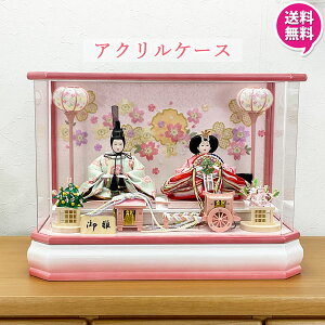 !?yPő50ȏ&N[|z l` RpNg P[X  2l _  ~j 킢  ̐ߋ ̎q Ԃ  28528