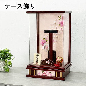 y|Cg10{z Hq j X^h RpNg Hq  ߋj ȂP[XPi 蕨 AN  8 ԗ hJ 28012