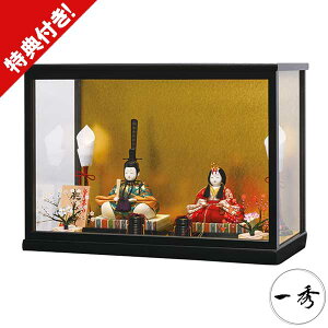 l` ЂȐl` ؖڍݐl` G 2026NV e P[X H-13-8 ؖڍ Ԍ42cm R P[X RpNg 蕨 j