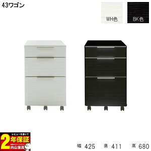 fXNS S [ i LX^[t 43cm ֓n BK ubN WH zCg