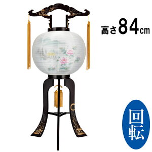 ~pi  ~ ~  V~  ~傤 ~ ] Mtg  vX`bNu ڈvi2643