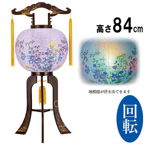 ~pi  ~ ~  V~  ~傤 ~ ] Mtg  vX`bNuނ炳 ڈvi625