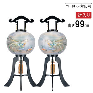 ~ ~傤  Γ sdCR[h R[hX LEDdrΉd {h ڎO P 6483-19