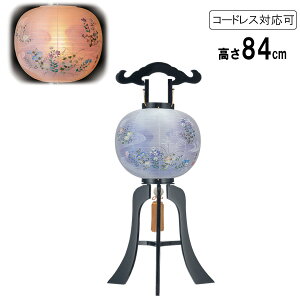 !?y|Cg&N[|z ~ ~傤  sdCR[h R[hX LEDdrΉd {h ڈs l 7481-44