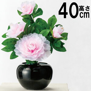 !?y|Cg&N[|z ~ ~iX LED ~ V~ ~iX @ؓ ~  ~傤 ~iX sN OLED R[h  40cmi 823 