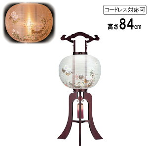 !?y|Cg&N[|z ~ ~傤  sdCR[h R[hX LEDdrΉd  ڈs  8441-01