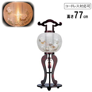 !?y|Cg&N[|z ~ ~傤  sdCR[h R[hX LEDdrΉd  P~t  8446-01