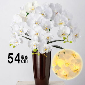 ~ ~iX LED ~ V~ ~iX @ؓ ~  ~傤 Ӓ  v~A R[h  54cmi 962 