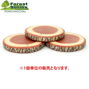 NbV tHXgV[Y ؂芔 zci1j ~` NbV ؖڒ fUC  NbV EbhfUC {