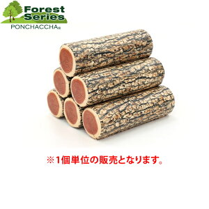 NbV tHXgV[Y@ۑNbViׁji1j NbV ؖڒ fUC  NbV EbhfUC {