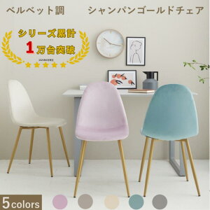 yr[4.5ȏ 50zC[Y xA VF `FA _CjO`FA C[Y`FA NbVt NbV VF`FA t@ubN k  xxbg O[ u