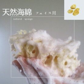 【エーゲ海産】天然海綿　フェイス用　3個セット　ボディスポンジ