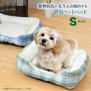 ybgxbh 50×40cm L a@̐搶 GXe[J kC gh}c ԏL Xї bNX šy 􂦂 Iׂ2F