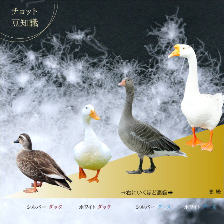 楽天市場】羽毛布団 2枚合せ ダブル 約190×210cm ハンガリー産シルバー 