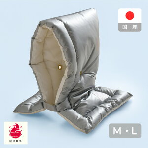 A~H hГ 28×42cm 30×46cm { {hF Iׂ2TCY hЃObY  w V  zc