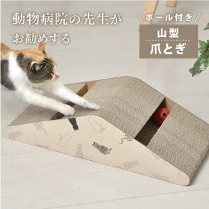 ܂Ƃ L R^ 1 2 a@̐搶 _{[  킢 i{[  KK ˂ ߂Ƃ ybgpi 2Zbg Pi