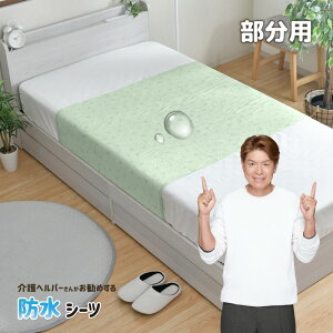 防水シーツ 90×170cm 介護ヘルパーさんお勧め パイル地 部分用 介護用 お子さまに ペットに ワイドタイプ 電気毛布OK 抗菌防臭 洗える やわらか タオル地 クリックポスト配送