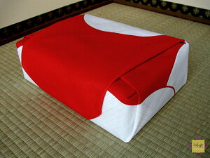 C~ ނ hkyn݁z 70cm 100 JWA C~X C~obO  Ɩ I 킢  j oYj  Mtg ꏡ Əj wj ٓ i 
