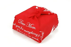 y|Cg5{I12/4 20`zӂ낵IWi f yJ[l[Vz 50cm 100V^ C~X itL ivL  z H 􂦂 ٓ ̓  Ɩ Mtg  