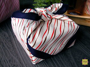 y݌Ɍz`NX yOEu[z 50cm 100  z H 􂦂 ٓ C~X wZ E q  Ď  j hV̓ Mtg v[g  ٓ i ސE