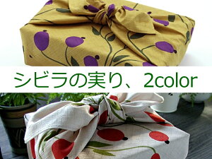 y|Cg5{I12/4 20`zC~ Vr hu yOZCEO~̎EIׂ2Fz 75cm 100ېD Sybilla JWA C~X C~obO 킢   Ɩ ̓ M