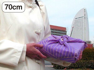 ӂ낵IWi C~yLotusEp[vz70cm 100V^ C~X  Ɩ Ԃ Mtg v[g Əj wj ٓ i ސE ސELOi oCN wbg 