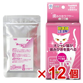 【ケース販売】歯みがきラクヤー　愛猫用　25g×12個