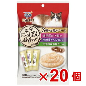 【ケース販売】銀のスプーン三ツ星グルメおやつつぶリッチ3種のお魚味アソート　まぐろ節＆かつお節＆真鯛だし108g（6g×18本）×20個