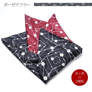 yK[[}t[z }XN Ri Ri΍ ԕ ECX }t[ Xg[ K[[ G| ԕ΍ ECX΍ ԕǃK[[nnhCh lp qp ΍  ב΍ 