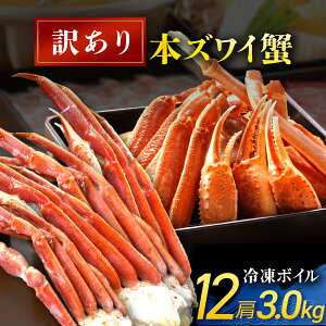 _ӂ邳Ɣ[łőlCII^y󂠂zⓀ {C {YCI Iׂ 4 / 8 / 12 ( 1kg / 2kg / 3kg ) | YCKj YC YCJj YCKj YCI Ⓚ ⓀJj ⓀI 